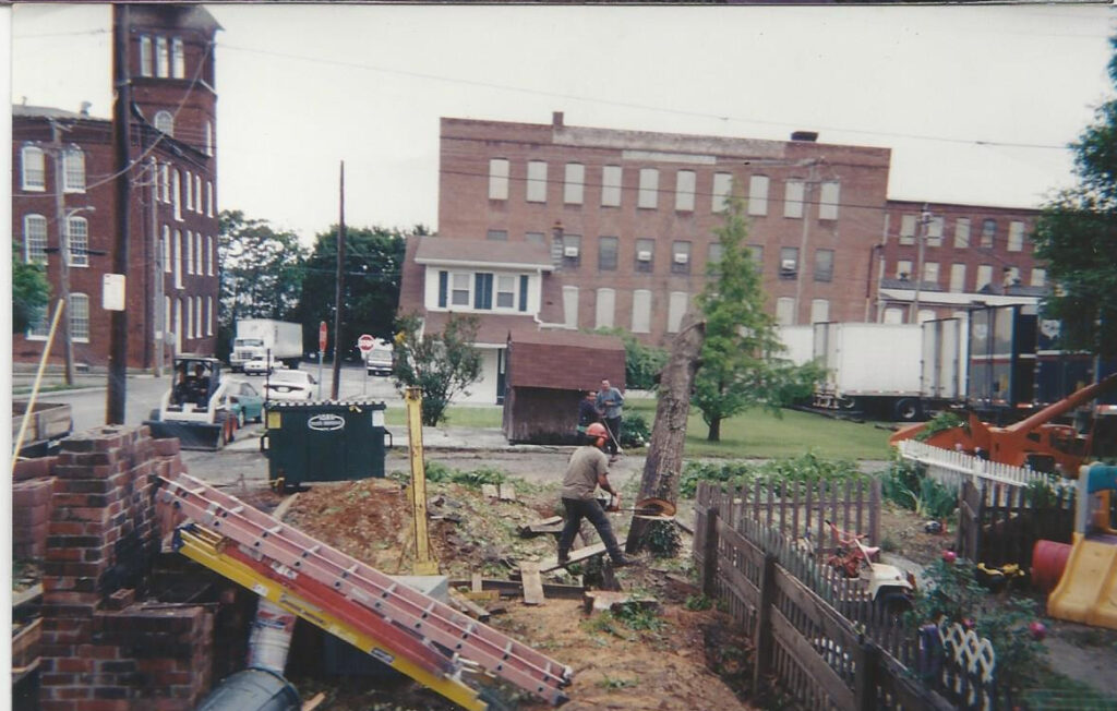 Handyman Tree cutting