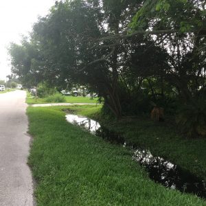 IMG_1104